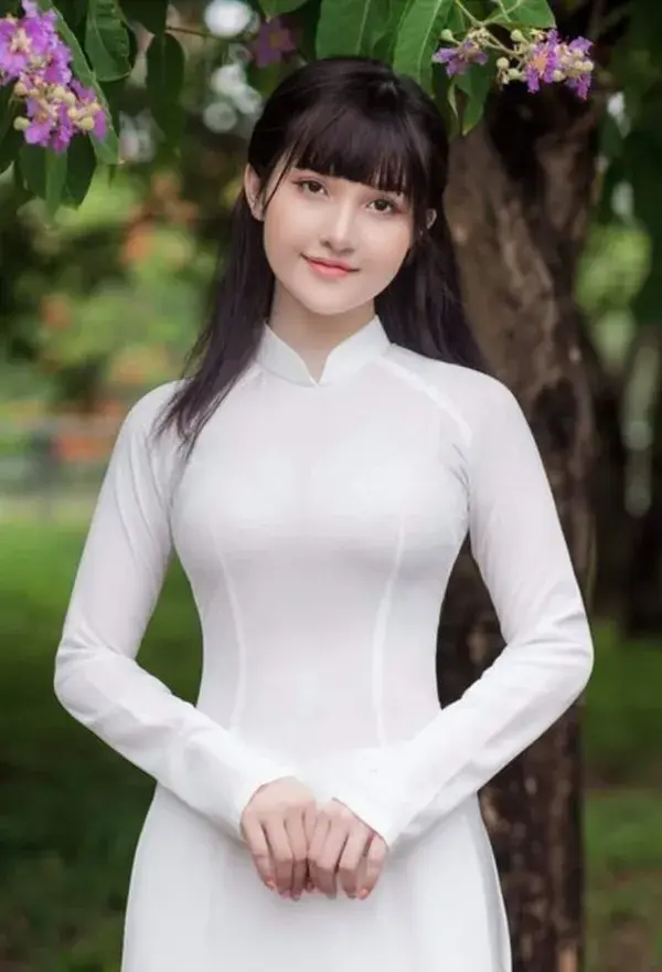 Vietnam Traditional Dress ~ "ao dai"