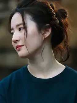 Liu Yi Fei