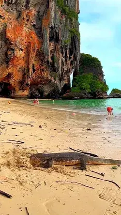 Railay Beach 🏝️Krabi ,Thailand 🇹🇭