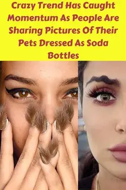 Crazy Trend Has Caught Momentum As People Are Sharing Pictures Of Their Pets Dressed As Soda Bott