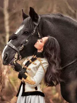 Russian Heavy Draft Horse