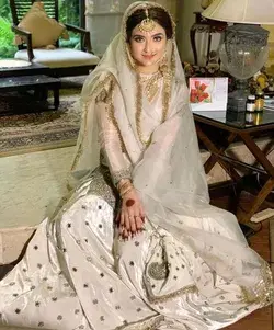 Pakistani Party Wear Dresses Organza Chiffon Dress party wear dresses,party wear dresses for girls,l