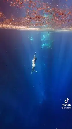 Diving