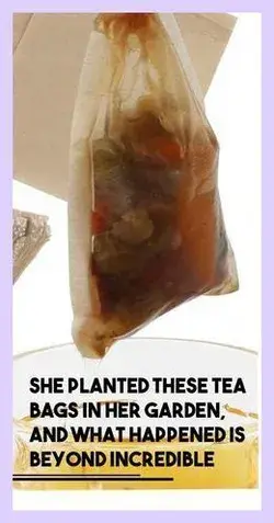 SHE PLANTED THESE TEA BAGS IN HER GARDEN, AND WHAT HAPPENED IS BEYOND INCREDIBLE.