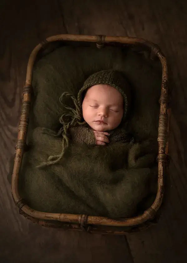 Newborn Portraits - The Portrait Masters Photography Awards