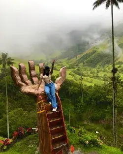 Valle del cocora