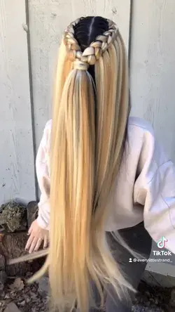 Blonde highlight braid hair