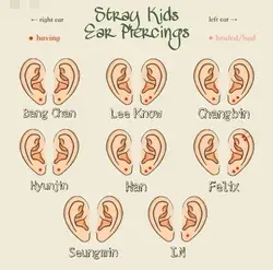 Stray kids piercings