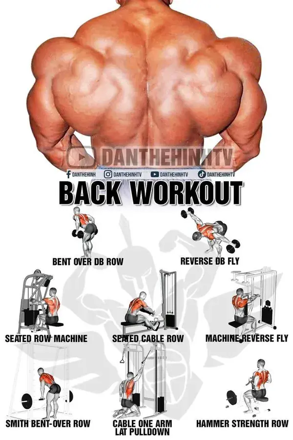 Top back workout 💪