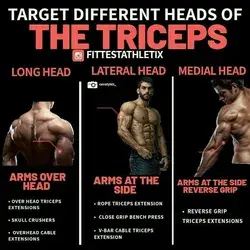 Tricep workout