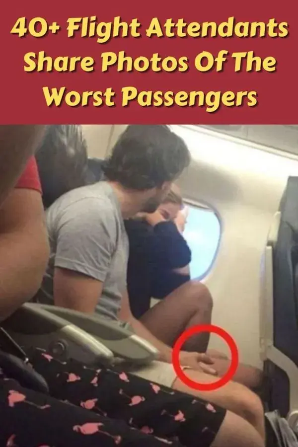 40+ Flight Attendants Share Photos Of The Worst Passengers