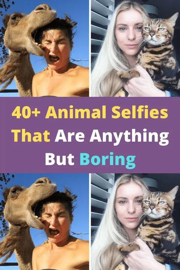 40+ Animal Selfies That Are Anything But Boring