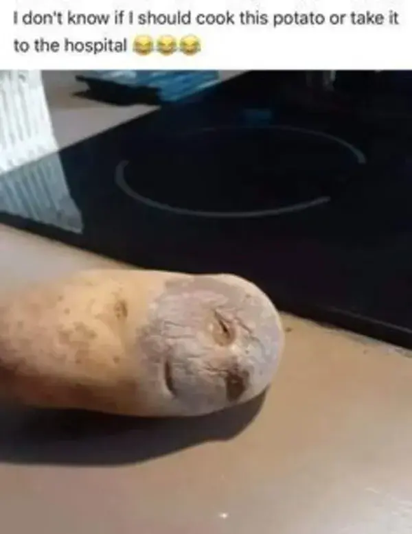 Don't know if I should cook this potato or take it to the hospital!