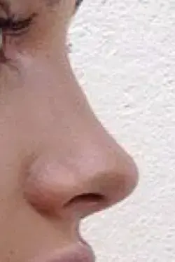 ‌˚୨୧⋆｡˚ ideal nose subliminal link