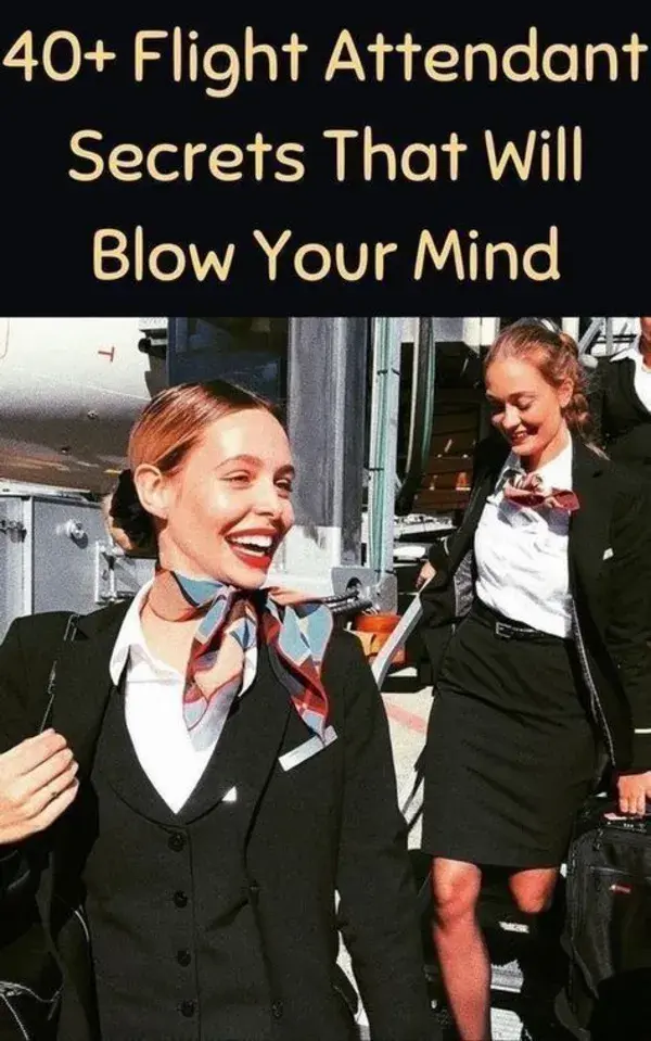 40+ Flight Attendant Secrets That Will Blow Your Mind