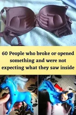 60 People who broke or opened something and were not expecting what they saw inside