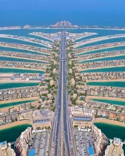 Property (apartments) for sale and rent in Palm Jumeirah Dubai