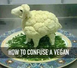 confuse a Vegan