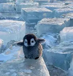 Cute #penguin