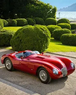 Jaguar C-Type