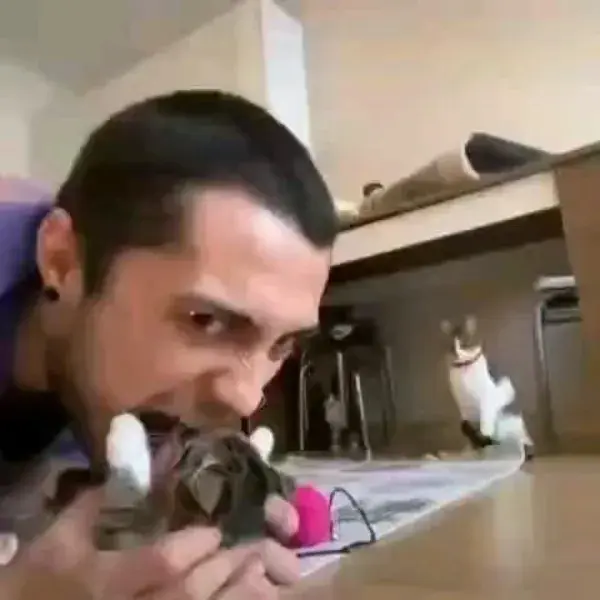 Cat attack to his owner