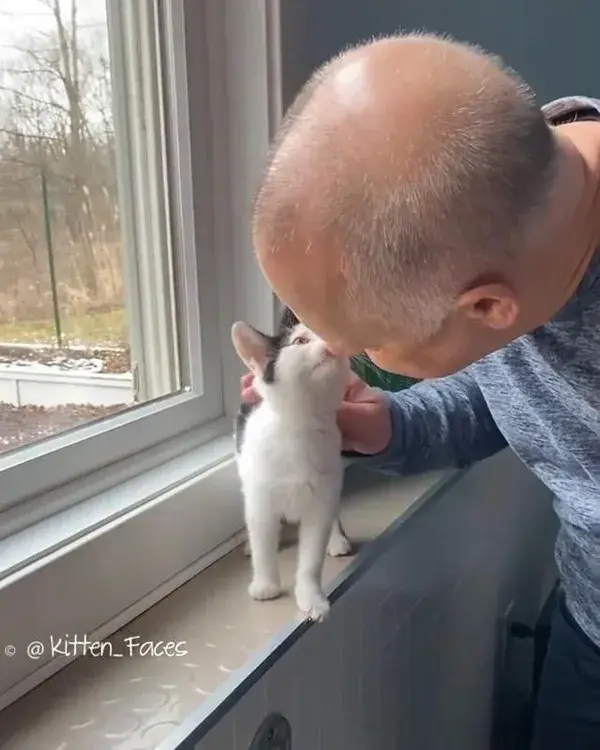 My kisses are for you, hooman