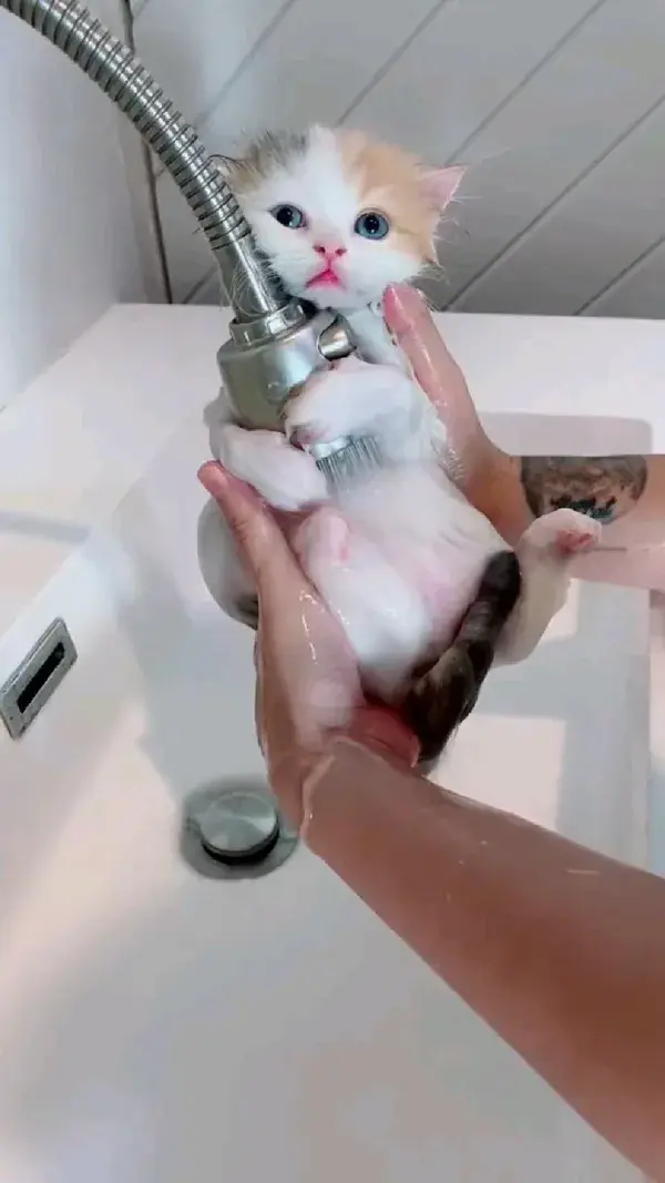 Bath time