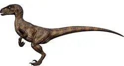 JWA - Velociraptor 1993 Skin Cosmetic