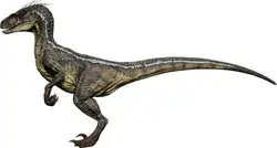JWA - Velociraptor 2001 M Skin Cosmetic
