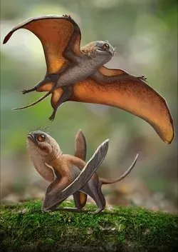 Extinct Pterosaur ~ Sinomacrops bondei