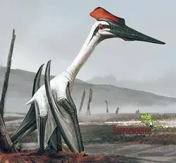 Pelagornis Sandersi