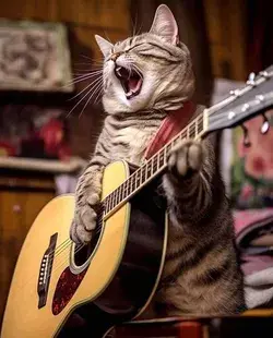 Music Lover Cat | Eureka Pet Shop Amazon
