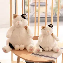 'I am male cat' funny Japanese calico cat plush - about 35cm / Cow cat