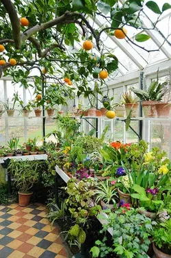 615 Best URBAN JUNGLE images in 2020 | Indoor garden, Indoor plants, Plants