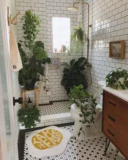 17 Bathroom Plants That Were Styled Perfectly