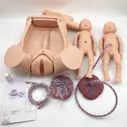 Childbirth Simulator Life Size Pelvic Anatomical Model Delivery Maternity Teaching Mold Includes Models of Baby Uterus Amniotic Sac Pelvis and Placenta Umbilical for Gynecology Teaching