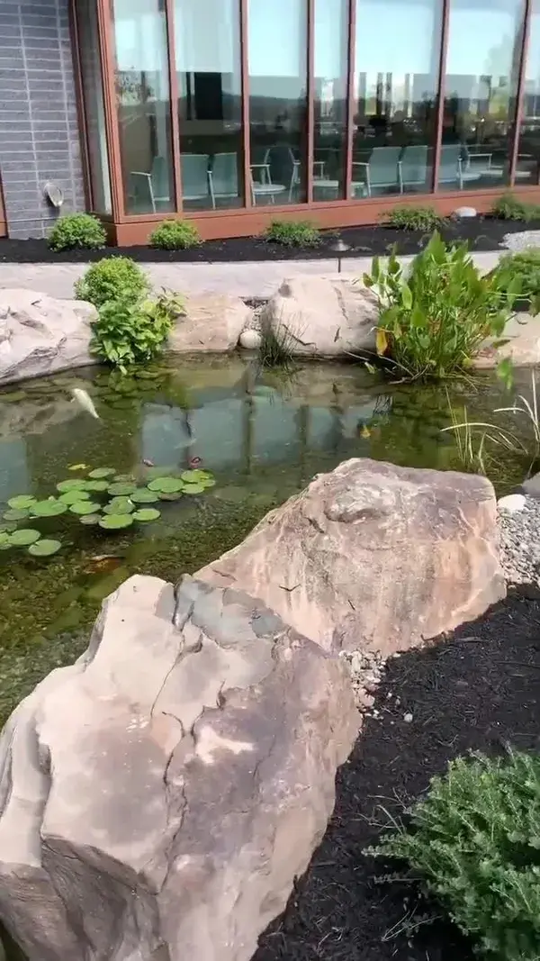 Pristine Garden Pond Provides Stress-Relief