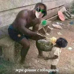 Жри дошик с говядиной