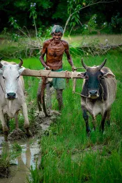 Indian village farmers