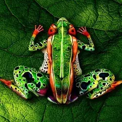 Body Painting Ideas