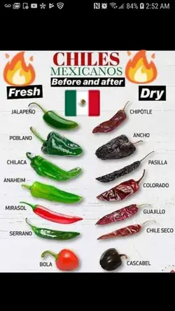 Names of Fresh and Dried Chiles