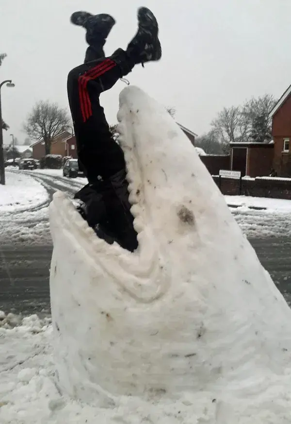 Swindon has fun in the snow | Swindon Advertiser