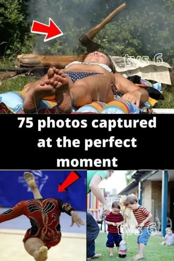 75 photos captured at the perfect moment