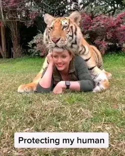 Protect at all costs 🐱👌❤️