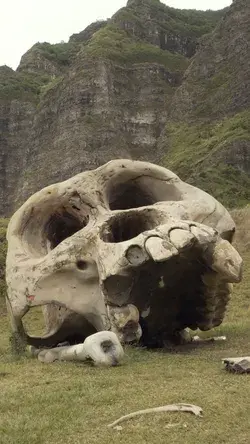 Kualoa Ranch in Hawaii