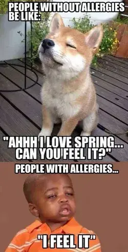 People with Allergies - Funny Meme