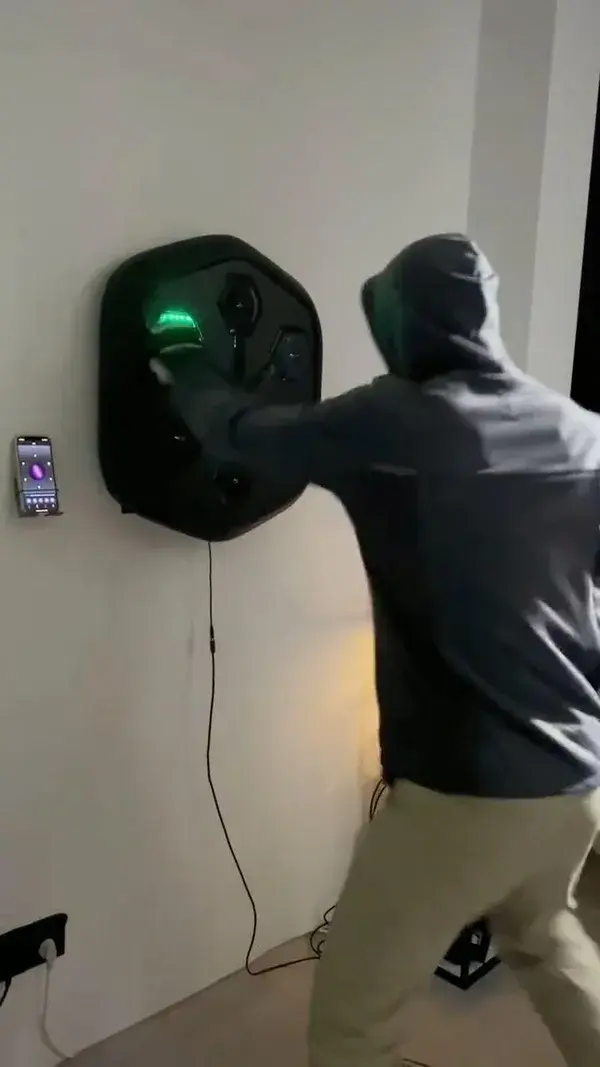 Christmas Sale - Wall Mounted Boxing Workout