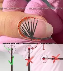 How to use Nail Nipper on nails - Nails care Tips