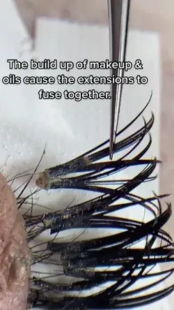 I’m a lash tech and this is the disgusting reality when people don’t clean their extensions – it’s so gross