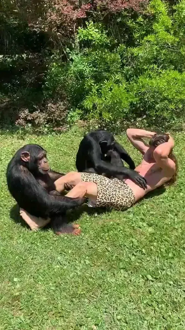 animals love